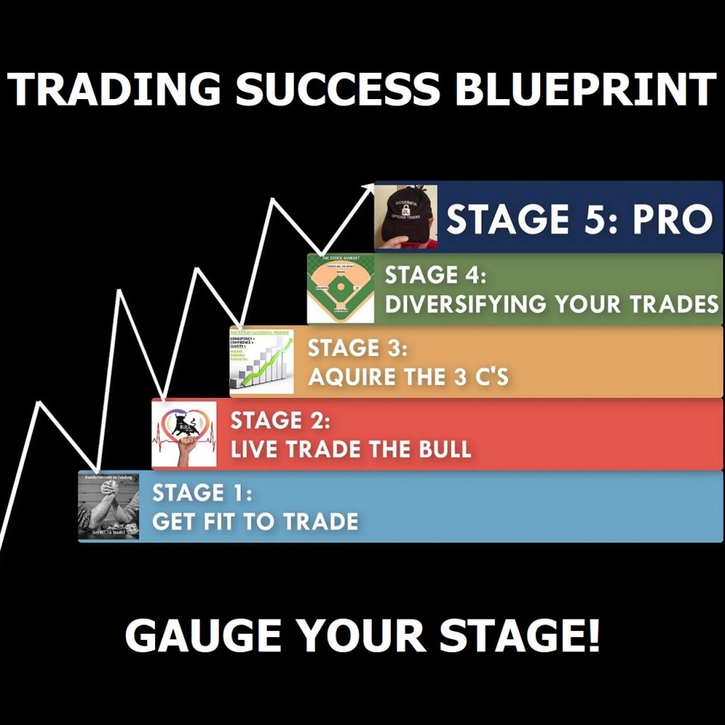 Trading Success Blueprint - Gauge Your Stage!