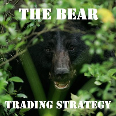 options trading strategy The Bear logo
