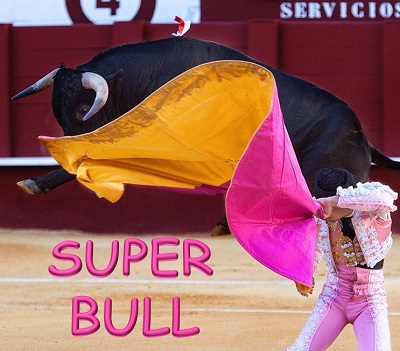 Super Bull options trading strategy logo