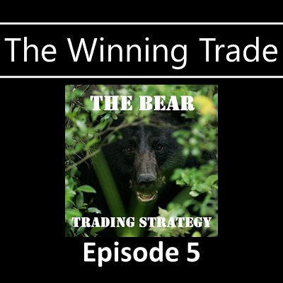 Super Simple Bearish Butterfly Win! The Winning Trade Episode 5