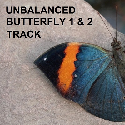 options trading strategies Unbalanced Butterfly 1 and 2 logo