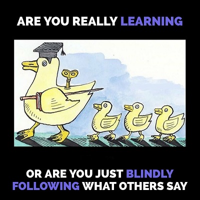 ARE YOU REALLY LEARNING OR ARE YOU JUST BLINDLY FOLLOWING WHAT OTHERS SAY?