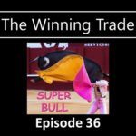 Fantastic Trade Results With Minimal Attention - The Winning Trade Episode 36