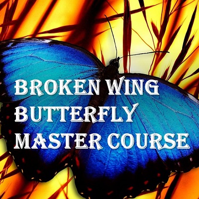 Broken Wing Butterfly Master Course